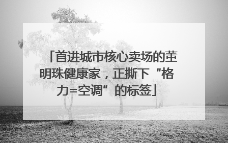 首进城市核心卖场的董明珠健康家，正撕下“格力=空调”的标签