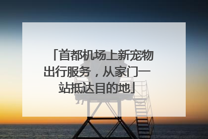 首都机场上新宠物出行服务，从家门一站抵达目的地