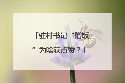 驻村书记“蹭饭”为啥获点赞？