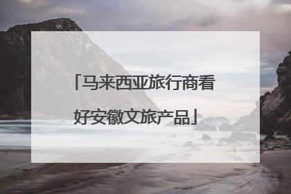 马来西亚旅行商看好安徽文旅产品