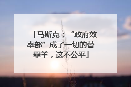 马斯克：“政府效率部”成了一切的替罪羊，这不公平