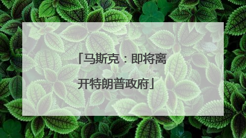 马斯克：即将离开特朗普政府