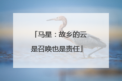 马星：故乡的云是召唤也是责任