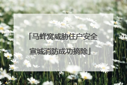 马蜂窝威胁住户安全 宣城消防成功摘除
