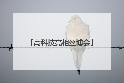 高科技亮相丝博会