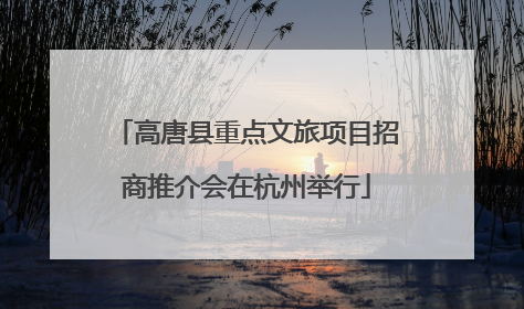 高唐县重点文旅项目招商推介会在杭州举行