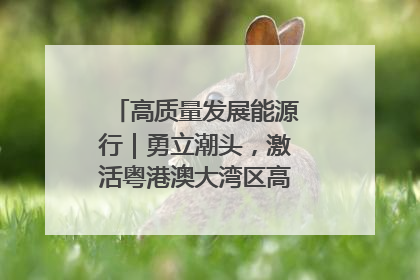 高质量发展能源行｜勇立潮头，激活粤港澳大湾区高质量发展动力源