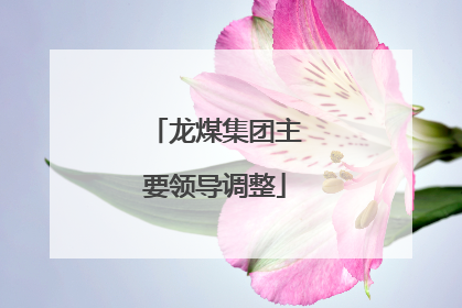 龙煤集团主要领导调整