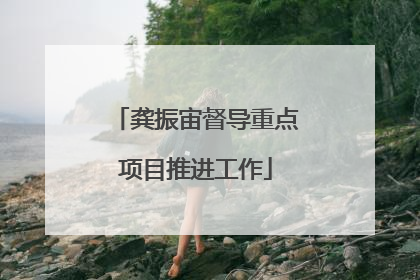龚振宙督导重点项目推进工作