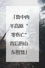 鲁中肉羊高原“零伤亡”背后的山东智慧