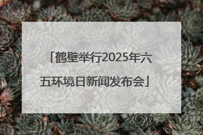鹤壁举行2025年六五环境日新闻发布会