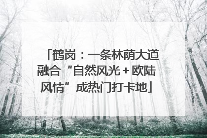 鹤岗：一条林荫大道融合“自然风光＋欧陆风情”成热门打卡地