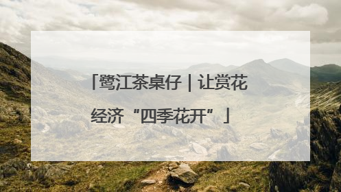 鹭江茶桌仔｜让赏花经济“四季花开”