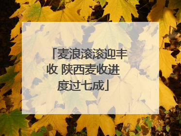 麦浪滚滚迎丰收 陕西麦收进度过七成