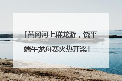 黄冈河上群龙游，饶平端午龙舟赛火热开桨