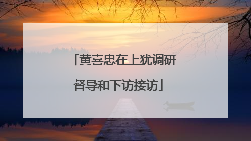 黄喜忠在上犹调研督导和下访接访