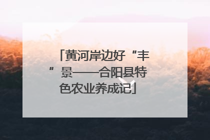 黄河岸边好“丰”景——合阳县特色农业养成记
