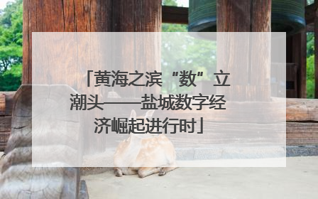 黄海之滨“数”立潮头——盐城数字经济崛起进行时