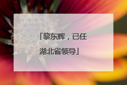 黎东辉，已任湖北省领导