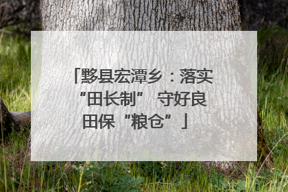 黟县宏潭乡：落实“田长制” 守好良田保“粮仓”
