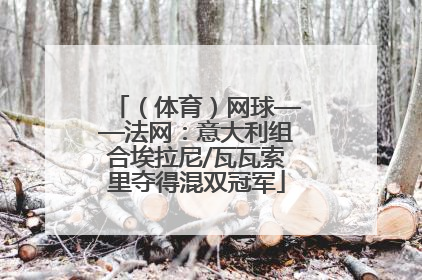 （体育）网球——法网：意大利组合埃拉尼/瓦瓦索里夺得混双冠军