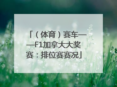 （体育）赛车——F1加拿大大奖赛：排位赛赛况