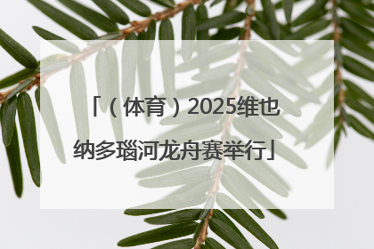 （体育）2025维也纳多瑙河龙舟赛举行