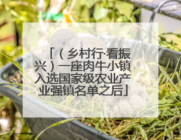 （乡村行·看振兴）一座肉牛小镇入选国家级农业产业强镇名单之后