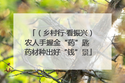 （乡村行·看振兴）农人手握金“药”匙 药材种出好“钱”景