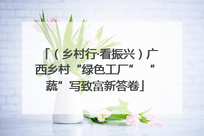 （乡村行·看振兴）广西乡村“绿色工厂” “蔬”写致富新答卷