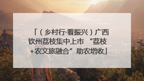 （乡村行·看振兴）广西钦州荔枝集中上市 “荔枝+农文旅融合”助农增收