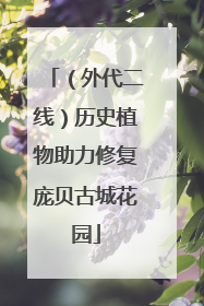 （外代二线）历史植物助力修复庞贝古城花园