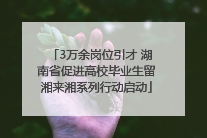 3万余岗位引才 湖南省促进高校毕业生留湘来湘系列行动启动