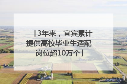 3年来，宜宾累计提供高校毕业生适配岗位超10万个