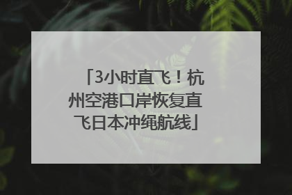 3小时直飞！杭州空港口岸恢复直飞日本冲绳航线
