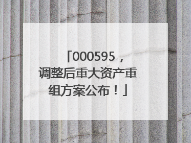 000595，调整后重大资产重组方案公布！