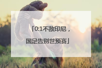 0:1不敌印尼，国足告别世预赛