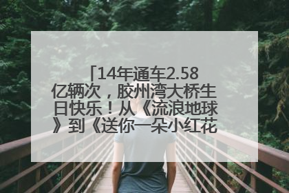 14年通车2.58亿辆次，胶州湾大桥生日快乐！从《流浪地球》到《送你一朵小红花》，爆款标配