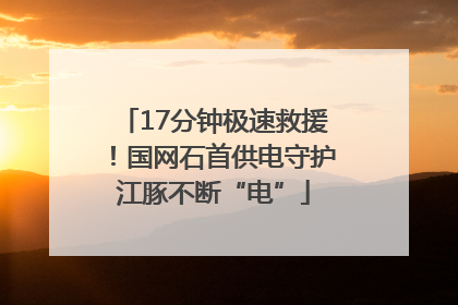 17分钟极速救援！国网石首供电守护江豚不断“电”