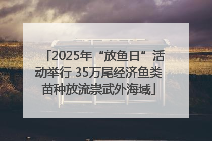 2025年“放鱼日”活动举行 35万尾经济鱼类苗种放流崇武外海域