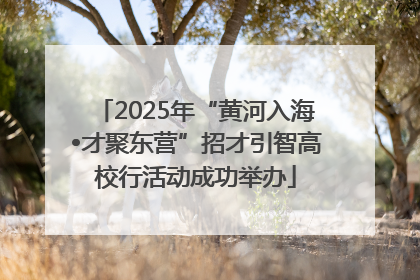 2025年“黄河入海•才聚东营”招才引智高校行活动成功举办
