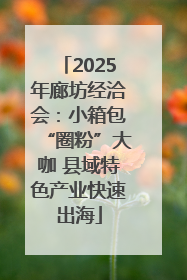 2025年廊坊经洽会：小箱包“圈粉”大咖 县域特色产业快速出海