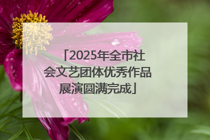 2025年全市社会文艺团体优秀作品展演圆满完成