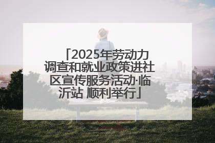 2025年劳动力调查和就业政策进社区宣传服务活动·临沂站 顺利举行
