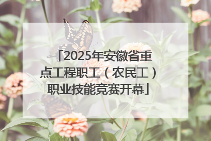 2025年安徽省重点工程职工（农民工）职业技能竞赛开幕