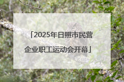 2025年日照市民营企业职工运动会开幕