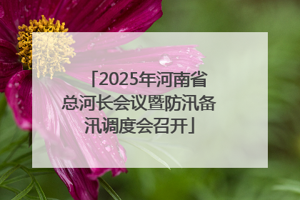 2025年河南省总河长会议暨防汛备汛调度会召开