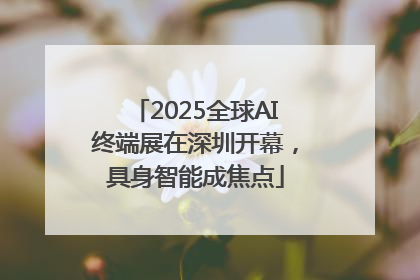 2025全球AI终端展在深圳开幕，具身智能成焦点
