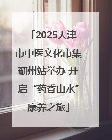 2025天津市中医文化市集蓟州站举办 开启“药香山水”康养之旅