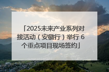 2025未来产业系列对接活动（安徽行）举行 6个重点项目现场签约